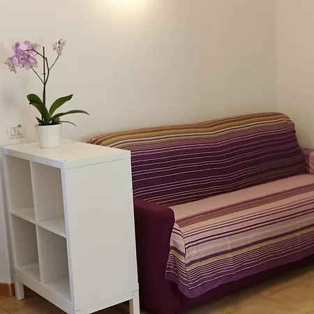 Colibri41elba-confort Trappola