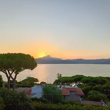 Colibri41elba-confort * Trappola