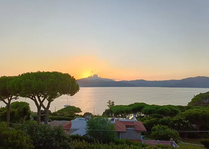 Colibri41elba-confort * Trappola