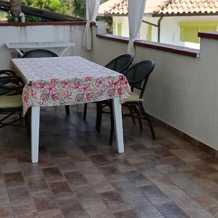 Colibri41elba-confort Trappola