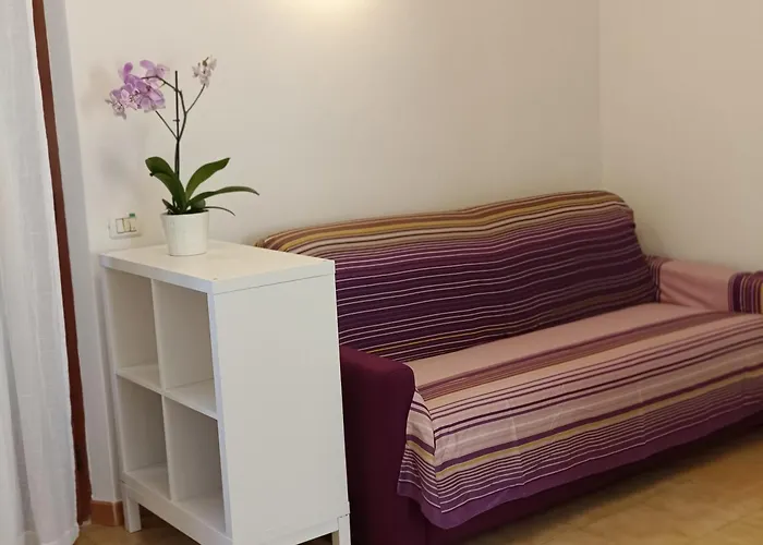 Colibri41elba-confort Trappola